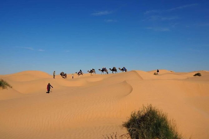 Desert tours and adventurous camel trekking through the Sahara - Day 1: Douz, the Gate of the Desert