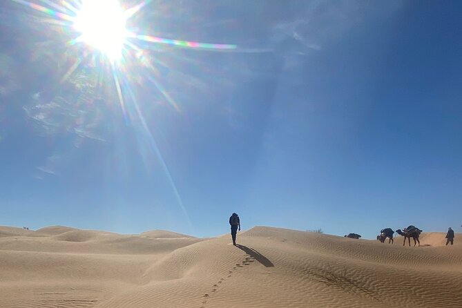 Desert tours and adventurous camel trekking through the Sahara - Matmata’s cave homes and the route back to Djerba