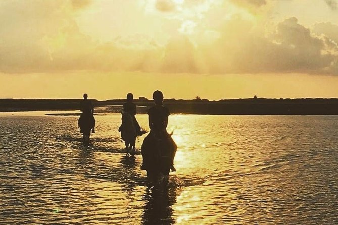Discovery ride on horseback or camel 2h30 - Key points to know before you book