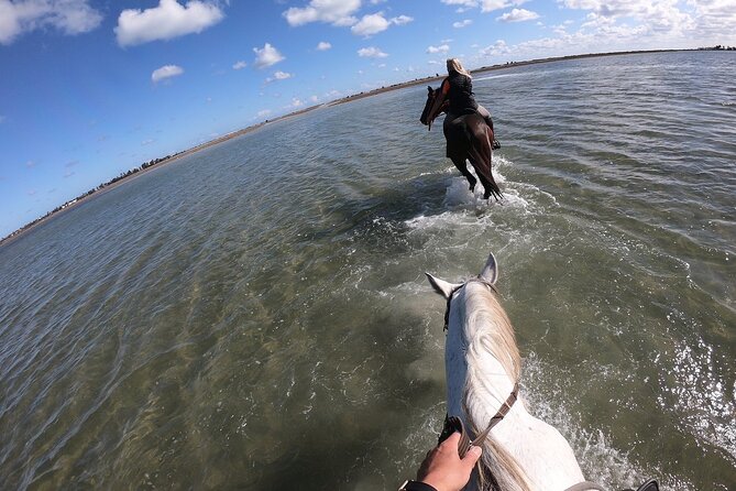 Discovery ride on horseback or camel 2h30 - The return along the coast and beach