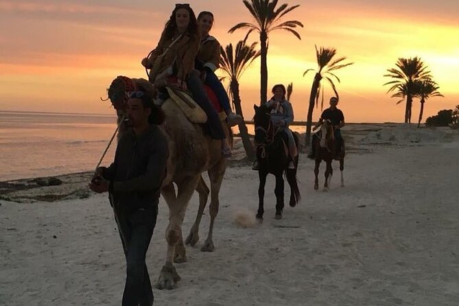 Discovery ride on horseback or camel 2h30 - What $45.36 buys you