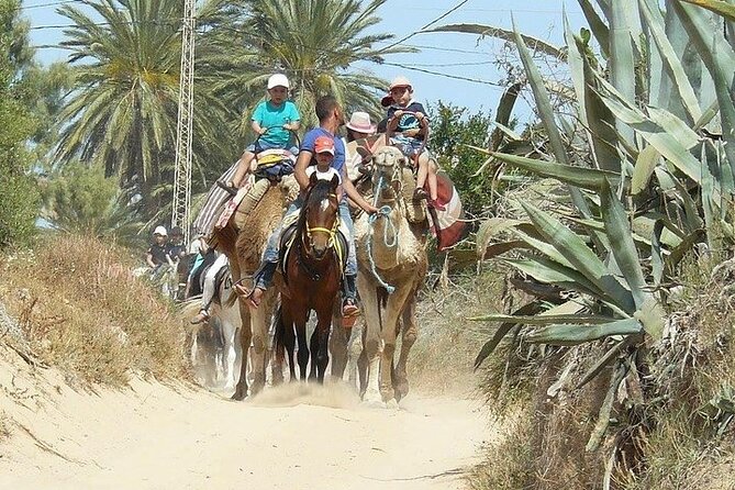Discovery ride on horseback or camel 2h30 - Who will enjoy this Djerba ride most?