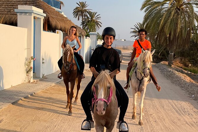 Discovery ride on horseback or camel 2h30 - My practical verdict on the route