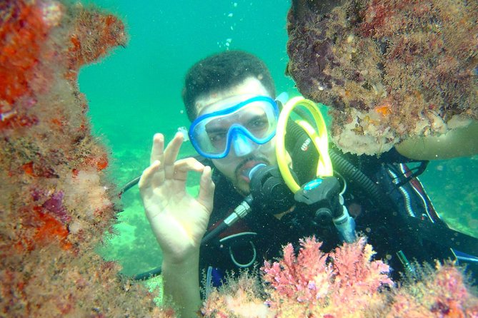 Diving initiation (Initiation) - A short theory session makes the sea less intimidating