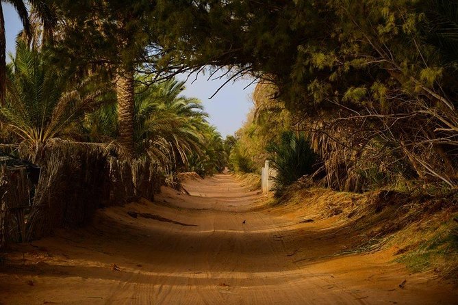 Door of the tunisian desert Ksar Ghilane and Matmata: Full one Day - Is $86.88 good value?
