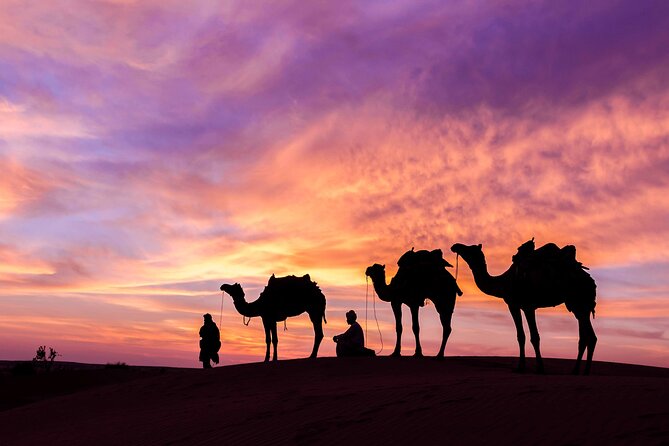 Douz Overnight Camp Stay in Sahara Desert with Dinner By Camel - Leaving Douz at 4:30 pm