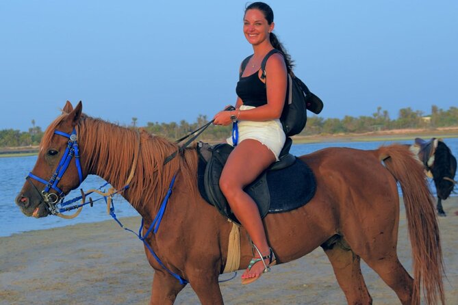 Explore Djerba by camel and horse - Key points to know before you book