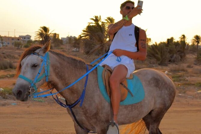 Explore Djerba by camel and horse - From Hôtel Dar el Manara to the ranch