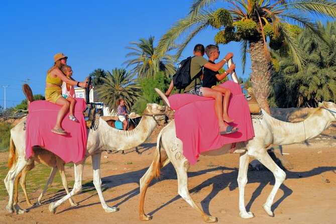 Explore Djerba by camel and horse - The lagoon stop after about an hour