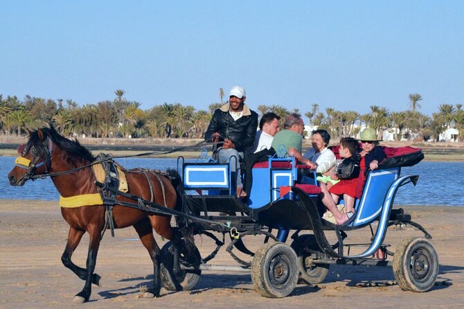 Explore Djerba by camel and horse - Returning by a different way