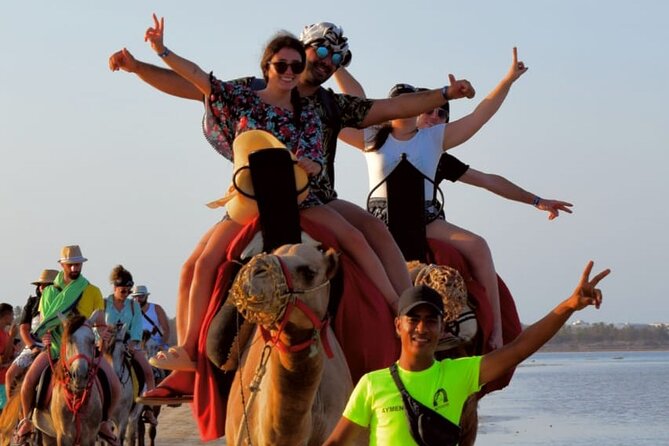 Explore Djerba by camel and horse - What the price gives you at $42.97