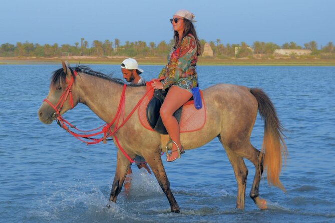Explore Djerba by camel and horse - Who will enjoy this Djerba outing