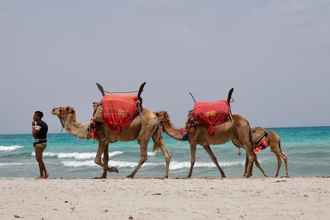 From Djerba : 1 day in the footsteps of Star Wars "Mos Eisley" - Starting at Meninx and the Roman road