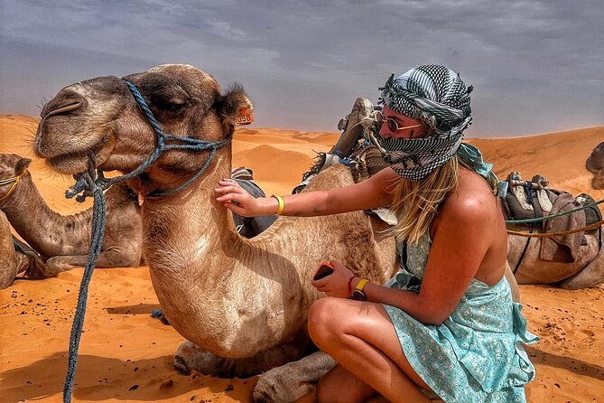 From Djerba: Explore the desert in a day - Key points to know before booking