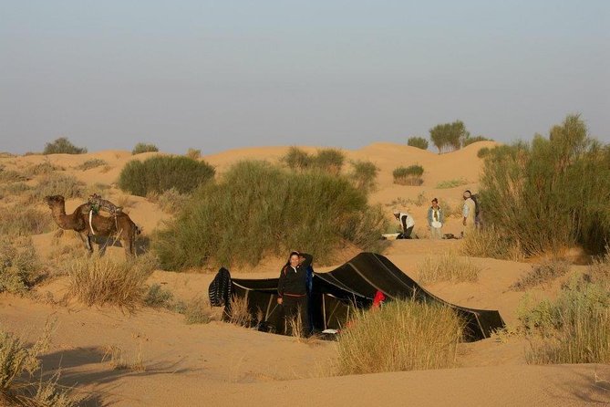 From Tozeur: 3-Day Desert Trip - Debebcha adds a human stop