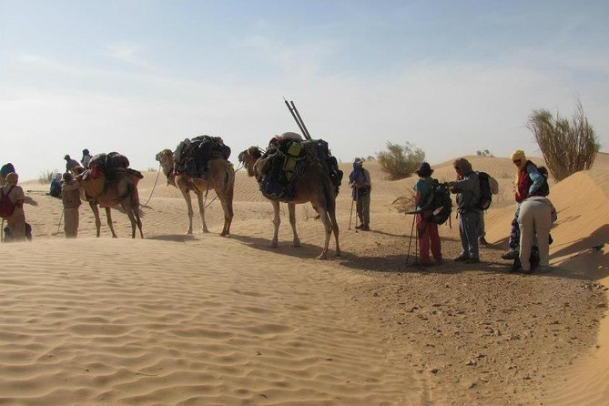 From Tozeur: 3-Day Desert Trip - Sunrise gives the desert a second look