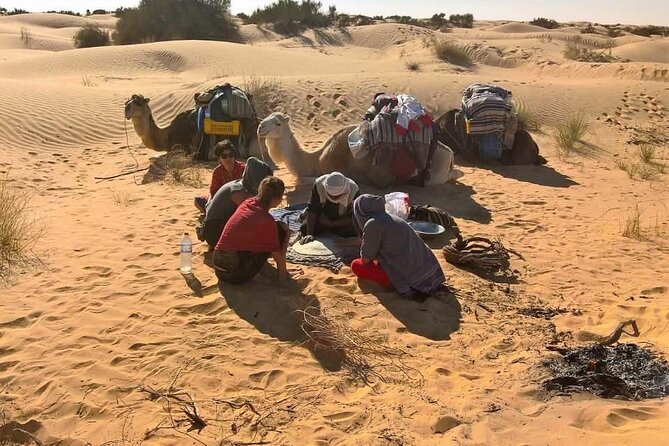 From Tozeur: 3-Day Desert Trip - What the $368.81 price really covers