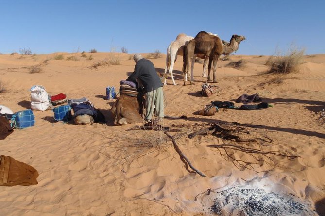 From Tozeur: 3-Day Desert Trip - Practical preparation for three days