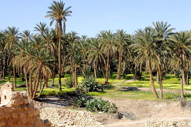 From Tunis: Star Wars 5 day tour - Day four: a hot spring and the Hotel Sidi Idriss