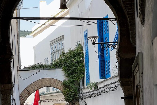 Full-Day Shore Excursion Private Tour in Tunisia Carthage ,Medina, Sidi Bou said - The guide can make or break the day