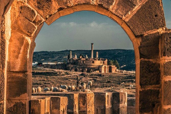 Full Day Uthina and Dougga Tour with Licensed Guide - Why Uthina is a strong first stop