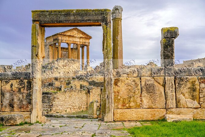 Full Day Uthina and Dougga Tour with Licensed Guide - What a licensed guide adds at Uthina and Dougga