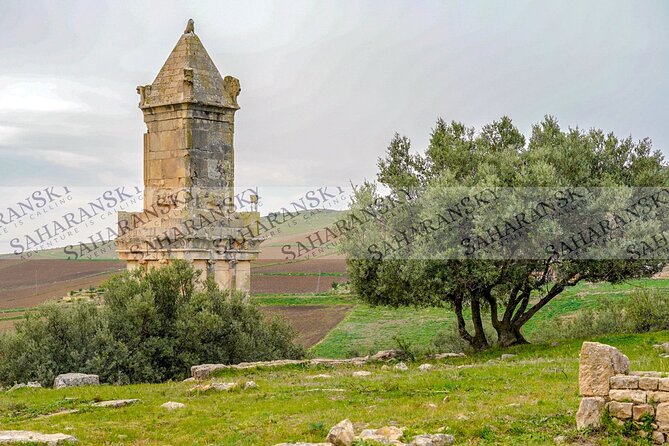 Full Day Uthina and Dougga Tour with Licensed Guide - Is $150 per person good value?