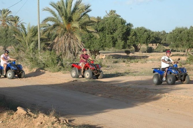 Great ride forest and blue lagoon in quad - What the first hour among the olive trees feels like