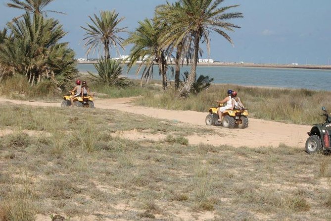 Great ride forest and blue lagoon in quad - The quad choice: single or double