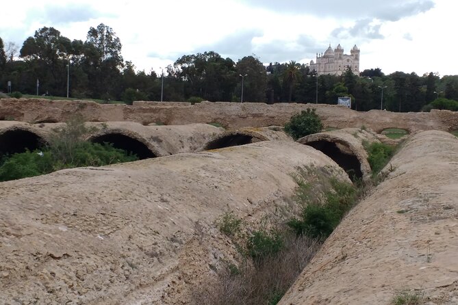 Group Guided Bike Tour of Carthage Archeological Site in Tunisia - Starting at 9 Rue Hannibal