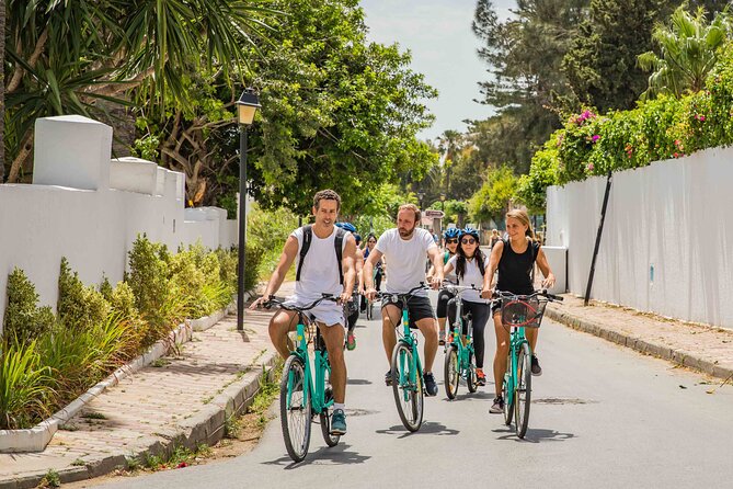 Group Guided Bike Tour of Carthage Archeological Site in Tunisia - Guides Who Make the Ruins Readable
