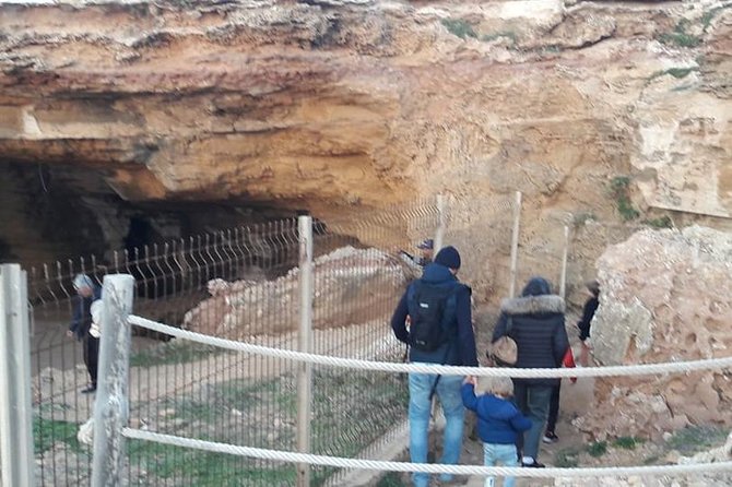 Guided Excursion Cap-Bon from Hammamet - Why this Cap Bon day trip works