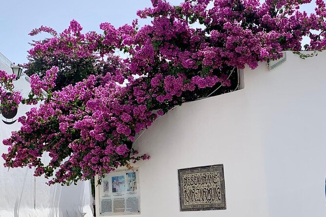Half a day in Sidi Bousaid from Hammamet - Entering the white-and-blue village