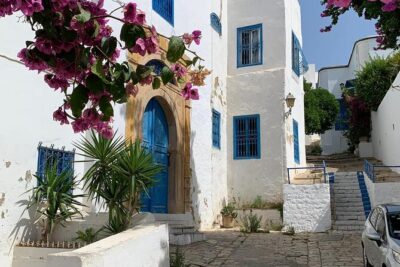 Half a day in Sidi Bousaid from Hammamet