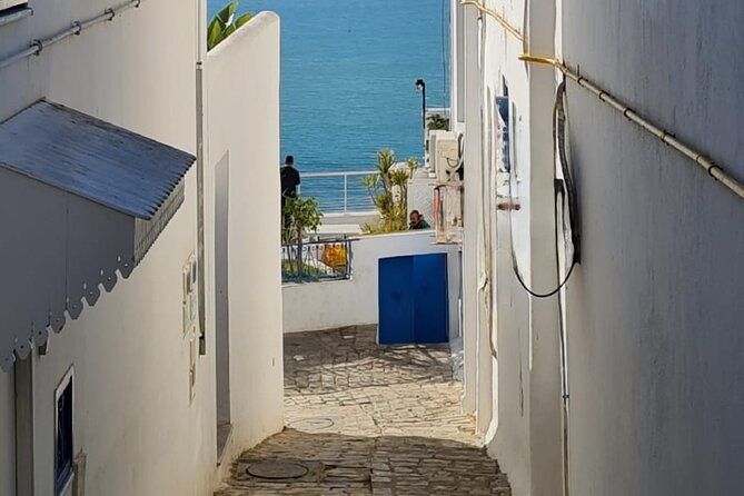 Half a day in Sidi Bousaid from Hammamet - Who should choose this half-day trip?