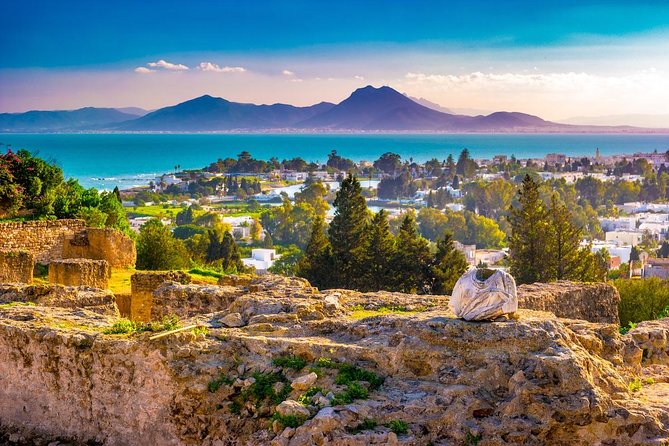 Half-Day Carthage, Sidi Bou Said Private Tour with Licensed Guide - Who will enjoy this tour most?
