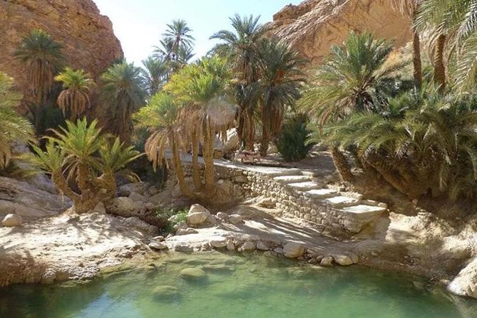 Half-day excursion the mountain oases from Tozeur - Why these mountain oases are worth your half-day