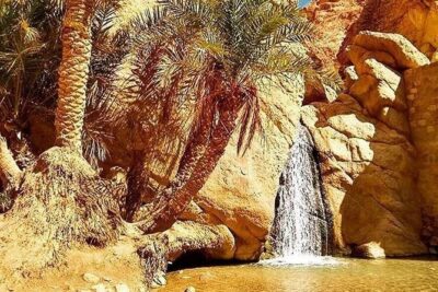 Half-day excursion the mountain oases from Tozeur