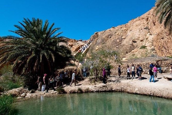 Half-day excursion the mountain oases from Tozeur - Who will enjoy this outing most?