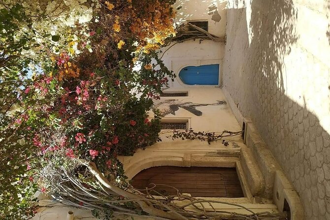 Half Day Trip to Djerba Island - What this five-hour Djerba tour is really designed to do
