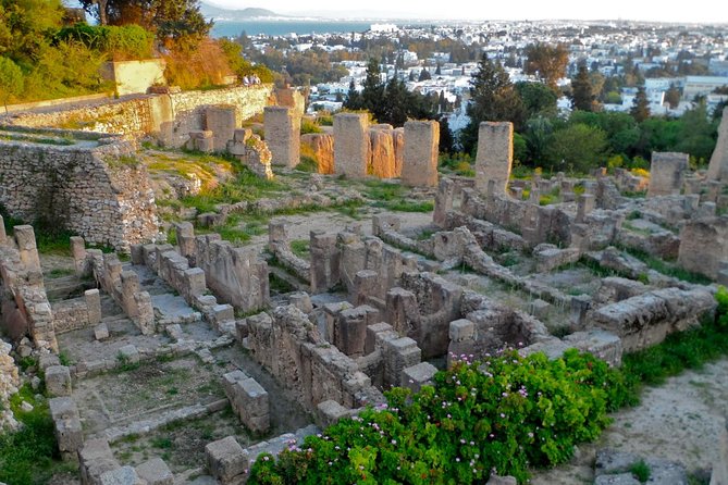 Historical Tour of Ancient Carthage - Key things to know before booking