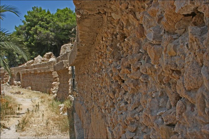 Historical Tour of Ancient Carthage - Ending at Saint Cyprian’s Basilica