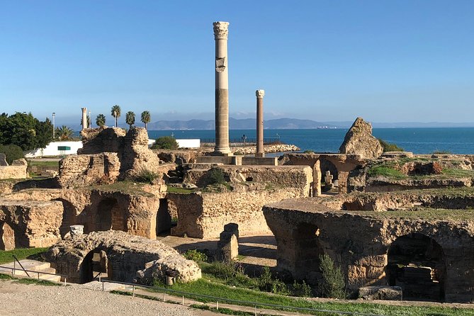 Historical Tour of Ancient Carthage - Walking through the Punic Ports and Museum