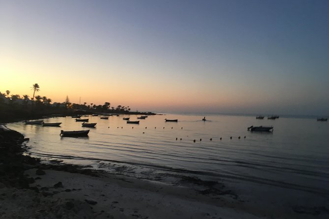 Horseback riding at sunrise 3h - Key points before you book