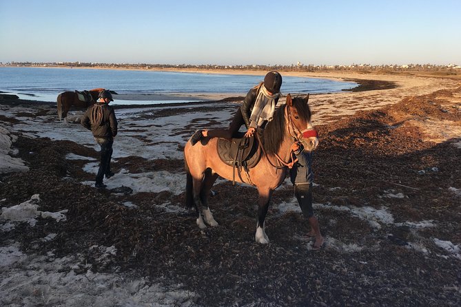 Horseback riding at sunrise 3h - The riding standard is the key decision