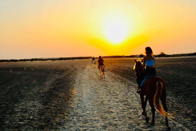 Horseback riding at sunrise 3h - Ranch Adada Djerba in Aghir