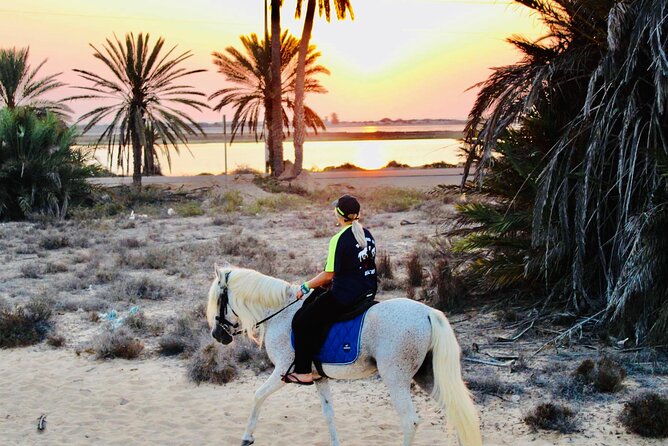 Horseback riding at sunrise 3h - Is $52.48 a fair price?