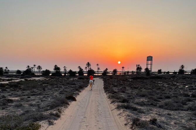Horseback riding at sunrise 3h - Who will get the most from this ride?