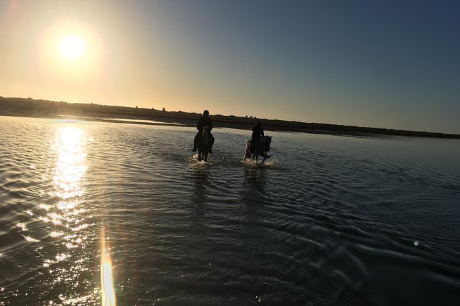 Horseback riding at sunrise 3h - Why the small group matters