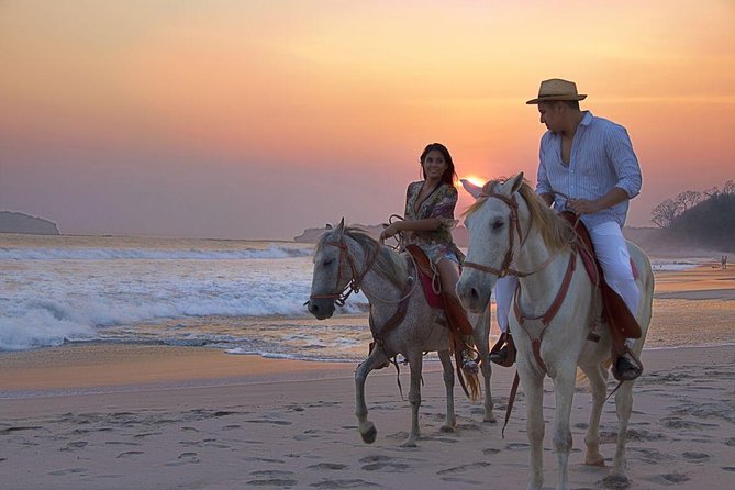 Horseback Riding in Djerba Lagoon - The morning pickup and start at 8:30 a.m.